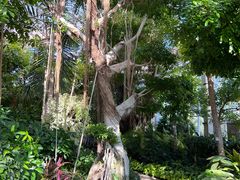 -南宫五洲植物乐园