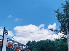 -北陵公园