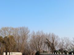 -同里国家湿地公园