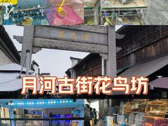 -嘉兴月河历史街区