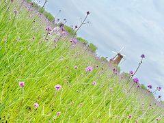 -漩门湾国家湿地公园