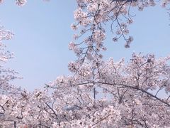 -上海辰山植物园