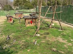 -合肥野生动物园