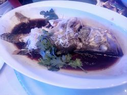 -北京嘉里大酒店·宴会厅婚宴·户外婚礼·生日宴