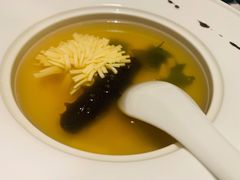 海参汤-梧桐