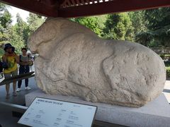 -茂陵博物馆