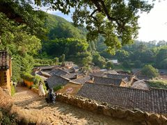 -杨家堂村