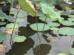 -木塔寺遗址生态公园