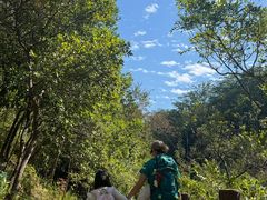 -广州白江湖森林公园