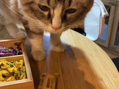 -白兔子密室(长寿路店)