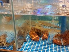 水产区-百富源·海鲜辽菜(浑河堡店)