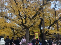 -浮来山风景区
