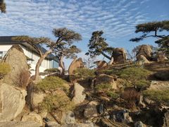 -罗红摄影艺术馆