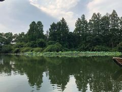 -江南春(解放路店)