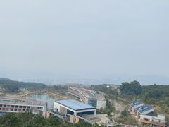 -铁山坪森林公园