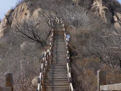 -大岭沟猕猴桃谷风景区