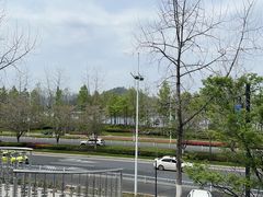 -宝荣鱼馆·临湖之宴(千岛湖店)