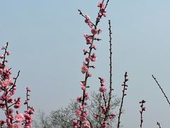 -无锡梅园公园