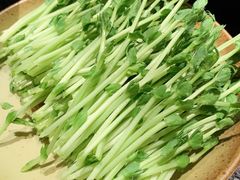 -盡膳口福跷脚牛肉火锅(北美新天地店)