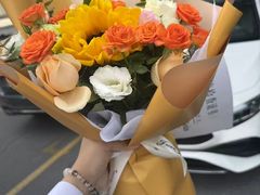 -上海德星奔驰(江杨南路店)