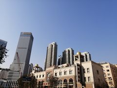 -芦庄子桂顺斋(和平路总店)