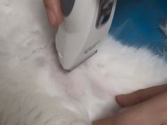 -宠福鑫动物医院(望京分院)