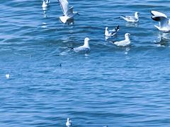 -捞渔河湿地公园