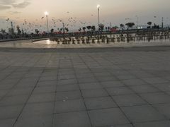 -东港音乐喷泉广场