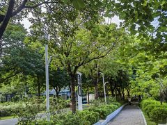 -广东花都湖国家湿地公园