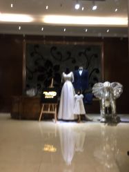 -南京宝娜嫁衣婚纱礼服馆(中央路店)
