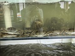 -小陆莲花蟹园农家乐(莲花岛店)
