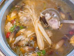 -千岛蚝高压锅生蚝·人参火锅(白云万达店)