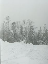-大秃顶子山