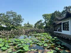 -无锡蠡湖国家湿地公园-蠡园