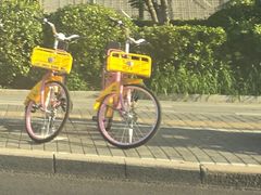 -圆明园遗址公园-藻园门售票处