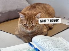 -万达广场(龙湖店)