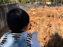 -昆明动物园