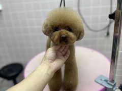-FAELING PETS美天灵宠物(富力广场店)