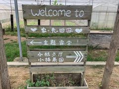 -前小桔亲子创意农场·草莓采摘·露营烧烤