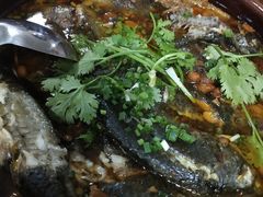 双飞鱼煲-创味·民间海南菜·非遗藤桥排骨(藤桥·免税城店)