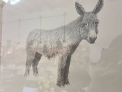 -浅行深作咖啡坊