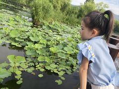 -长兴太湖图影湿地文化园