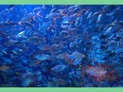 -成都浩海立方海洋公园