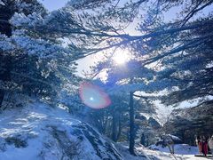 -黄山风景区