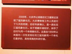 -大庆市博物馆