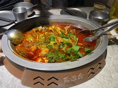 -黔渔翁豆花渎鱼(喷水池店)