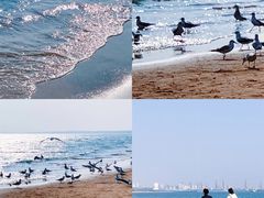-金梦海湾浴场