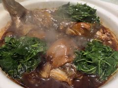 红烧河豚-永丰源大酒店(人民中路店)
