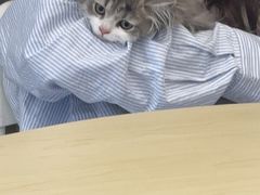 -瑞鹏宠物医院·骨科·猫科·内科(第一中心)