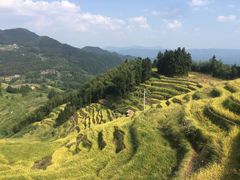 -紫鹊界梯田景区